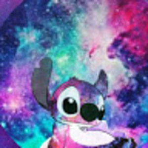 Meet your Posher, Shelby